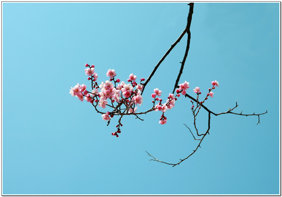 지리산 화엄사