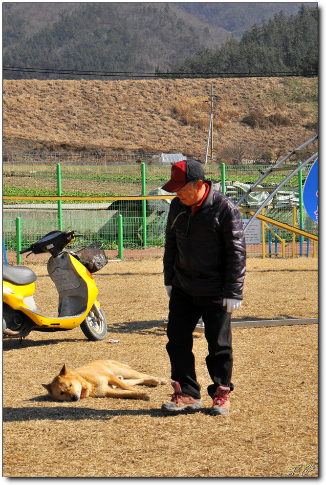 강토 이미지