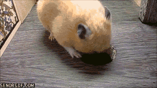 Ŭ Ͻø ̹   ֽϴ