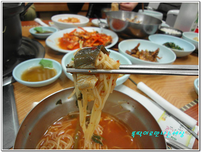 동해복어 이미지