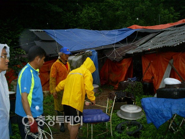 영춘 이미지