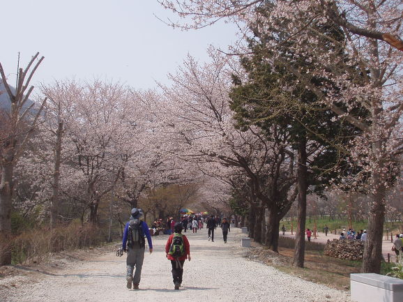 동백장여관 이미지