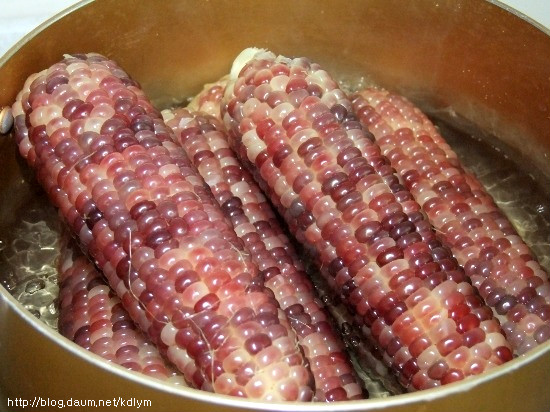 여름철 최고의 간식!! 옥수수와 감자 맛있게 찌는 법