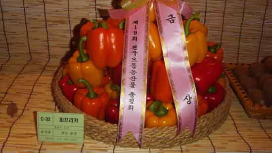 으뜸 농산물 이미지