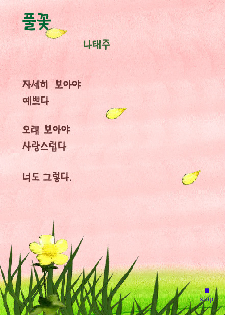 풀꽃 이미지
