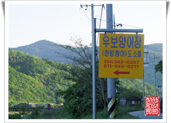 남지향어회 이미지