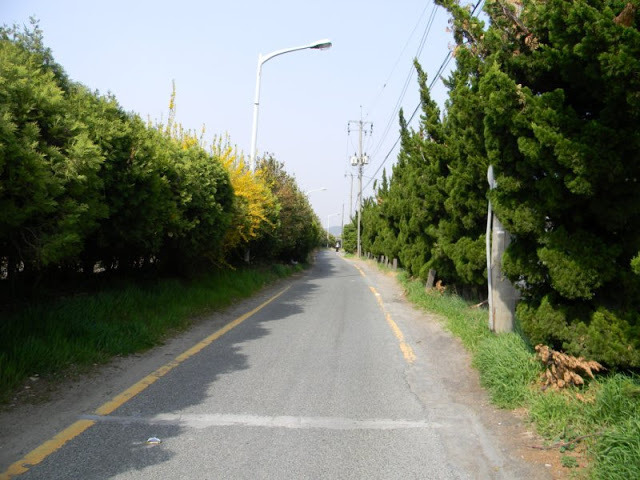 송정해수욕장, 옛 송정역, 구덕포