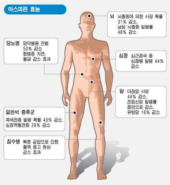 아스피린의 효능 / 하루 한알 복용하면 뇌졸중ㆍ심혈관계 질환에 효과