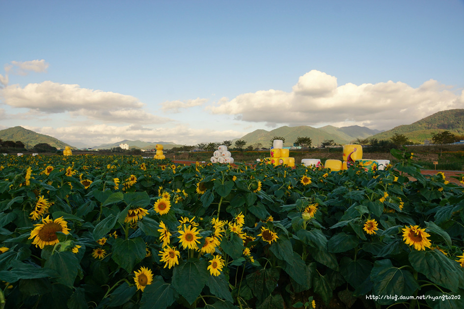 학산 정갑수 선생의 자경론(自警論) 이미지