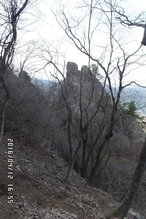 양명 이미지