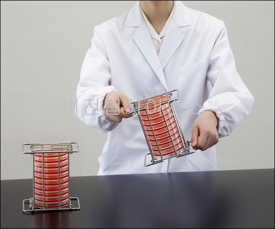 도립페트리디시랙,PETRI DISH RACK
