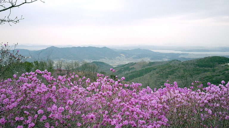 고려산 이미지