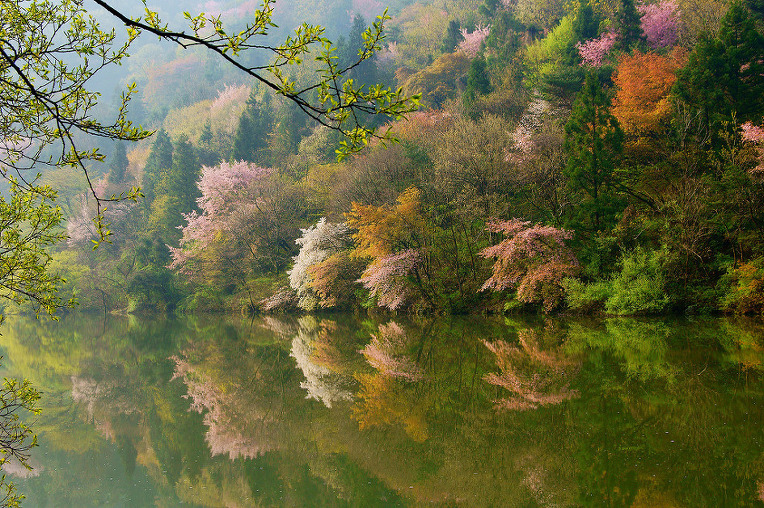 2254944B52A50E111B2BB2