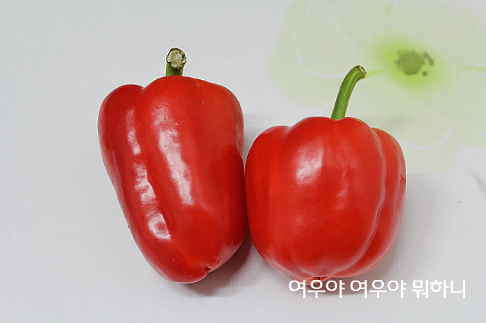 떡볶이대박집 이미지