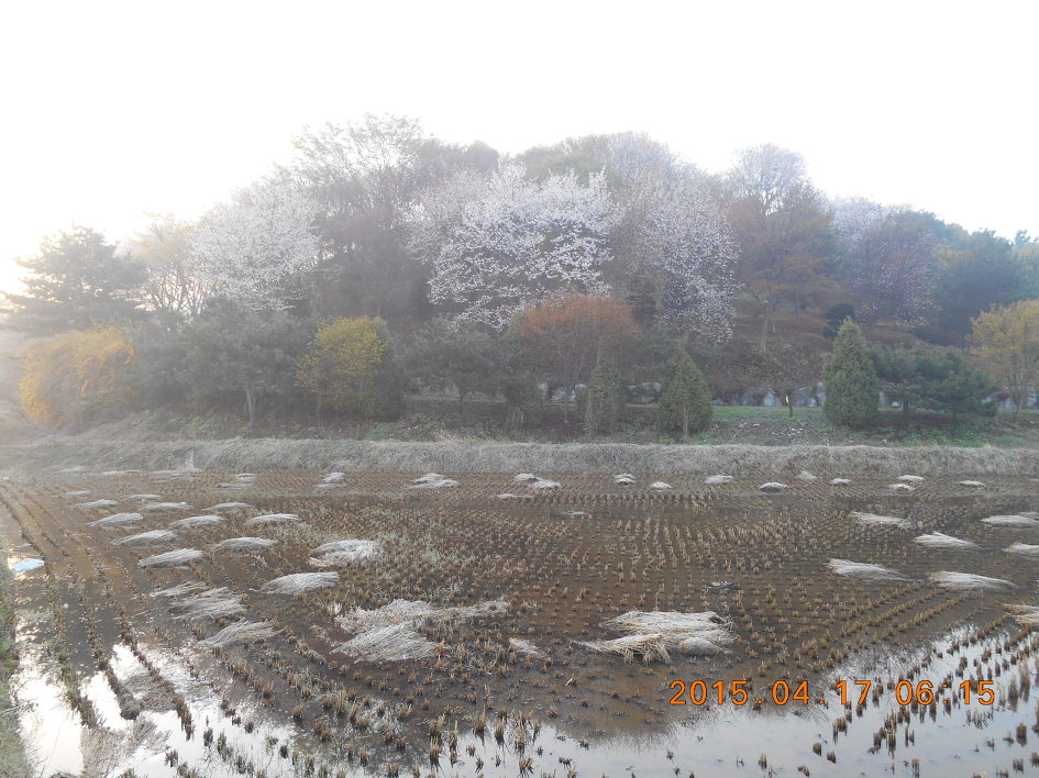 개군농업협동조합 이미지