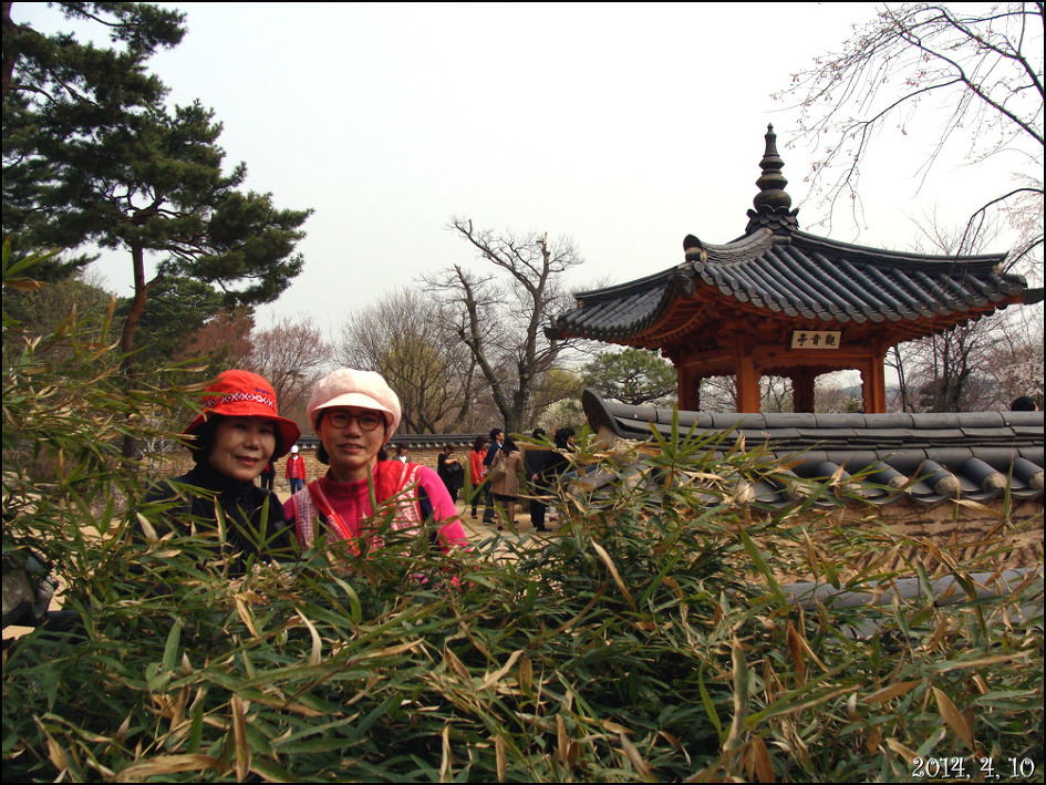 오랜만에 친구와 함께 한 나들이 용인 호암 미술관 희원/2014, 4, 10