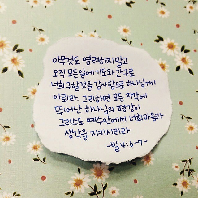 지선이네 이미지