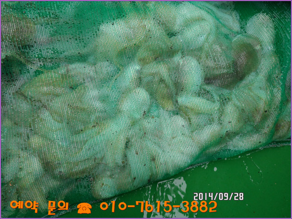 232F593E5428090A11D492