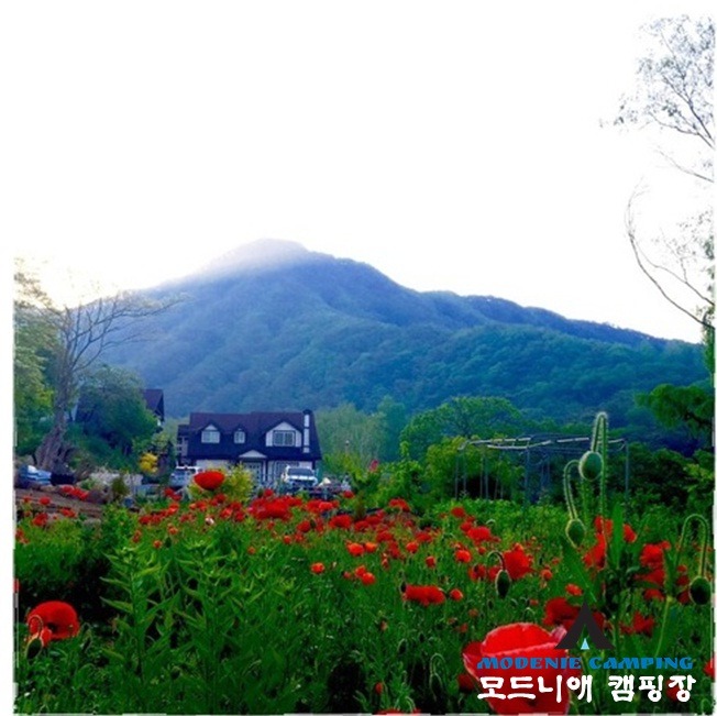 제천모드니애캠핑장 이미지