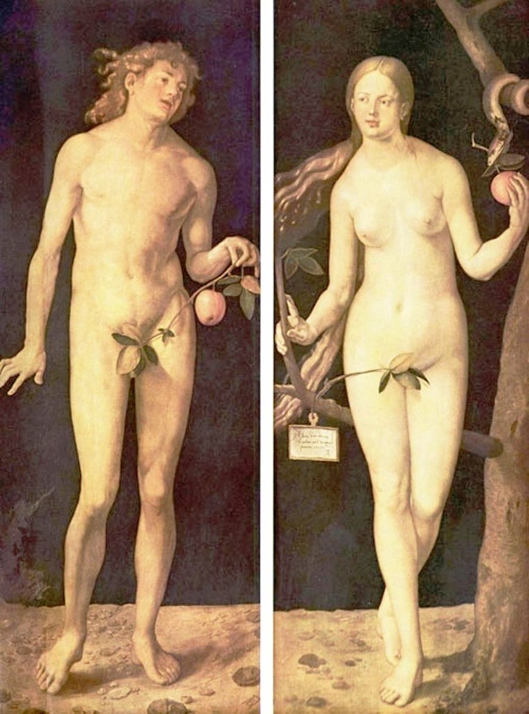 236AB64D55B6F7F11E78EE