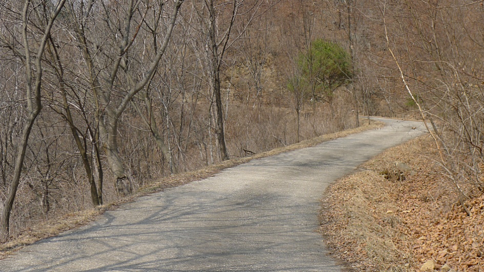 복주산자연휴양림 이미지