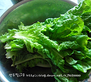 243DDD4F51AEBBA31B0D05