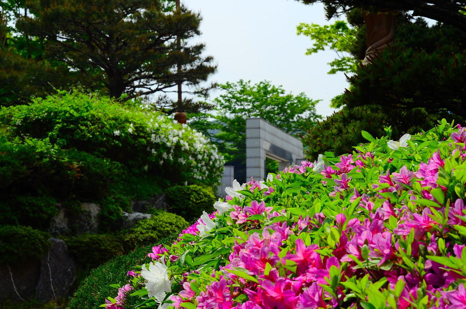 지나칠수 없었다.