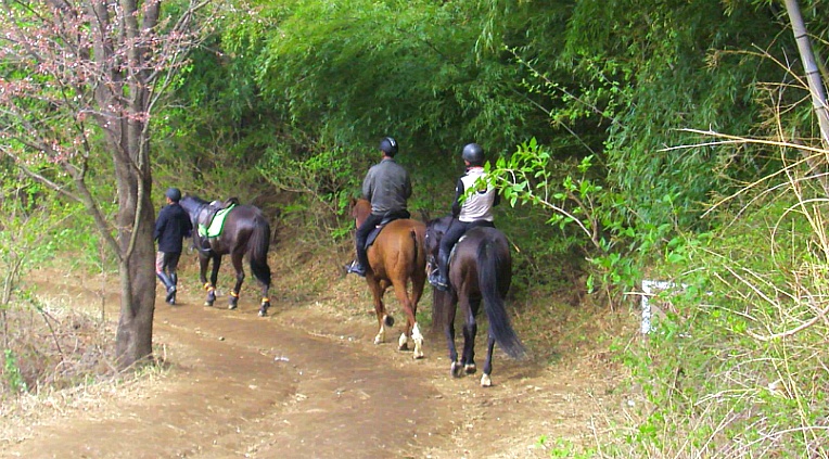 245B9944552A4F0C1EC723