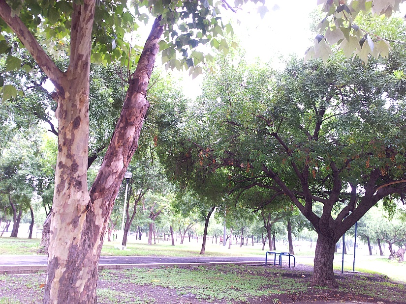 2015년6월22일 (월)/그들이 서로 말하되 