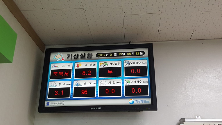 고구마나무 이미지