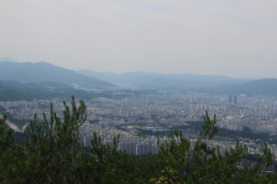 계족산 황톳길과 장태산 메타쉐콰이어 숲에서 힐링을(16.6.25)
