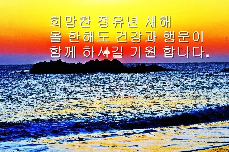 근하신년