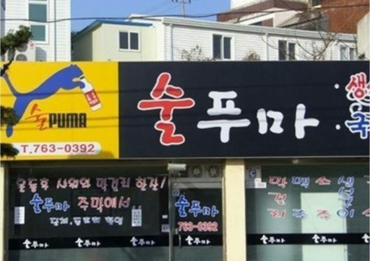 술푸마 이미지