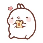 몰랑이사진 2부 