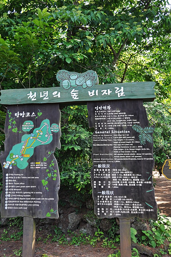 천년웰빙 이미지