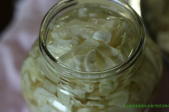 농부가 만드는 자연유기농 양배추 피클