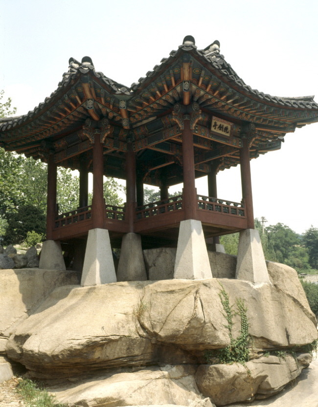 정자 이미지