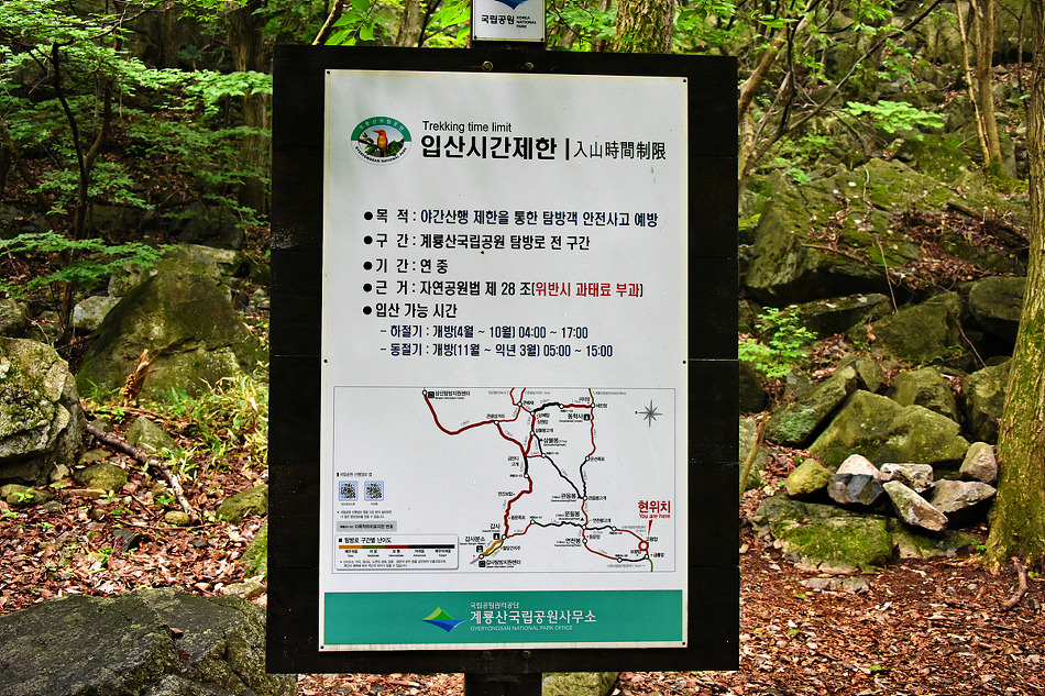 고왕암