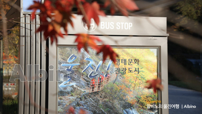 주막거리 이미지