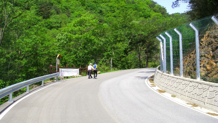 261D503D572DB1990DF6C7