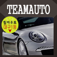 팀아우토 이미지