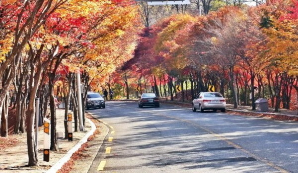 친환경 운전 (에코 드라이빙)