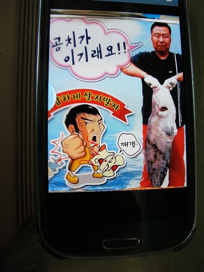 곰치집 이미지