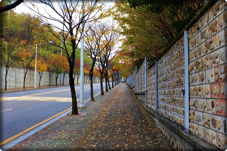 만추공 이미지