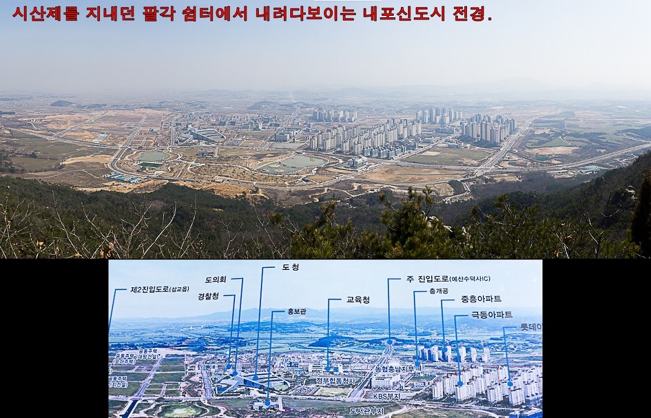 느림보 이미지
