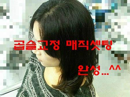 곱슬머리 이미지
