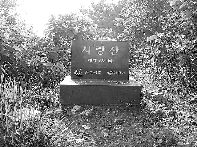 금봉노래 이미지