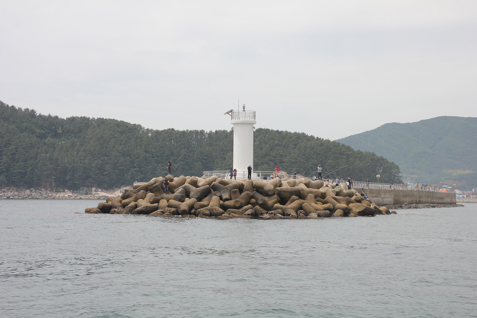 거제 지세포, 지심도 낚시 여행! 