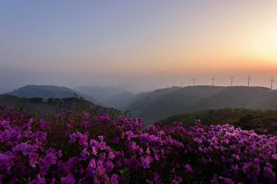 지금 한우산에서는....