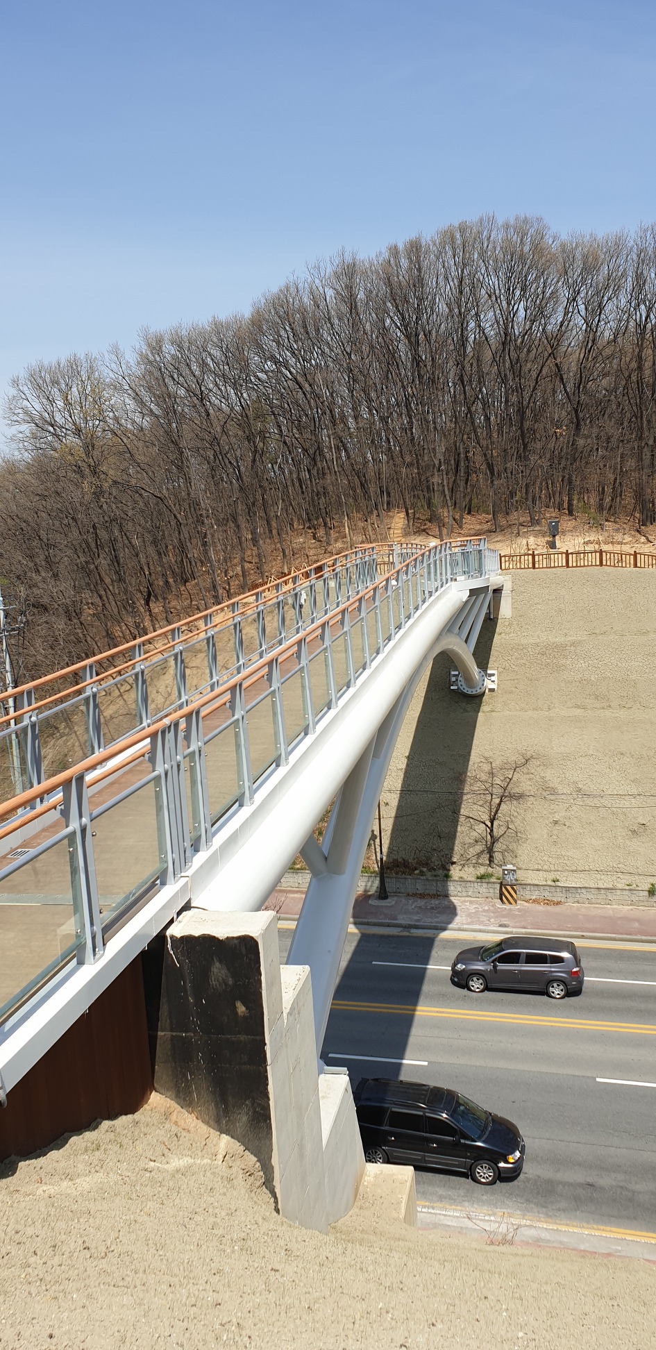 천안 봉서산 구름다리